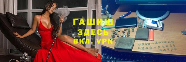 хмурый Аркадак