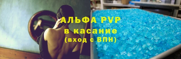 хмурый Аркадак