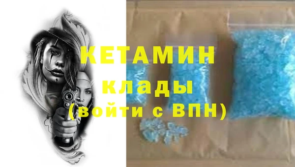 хмурый Аркадак