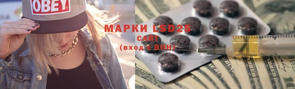 хмурый Аркадак