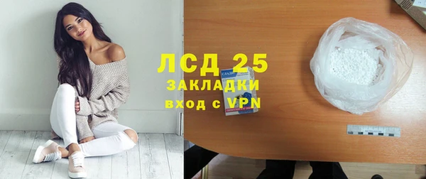 хмурый Аркадак