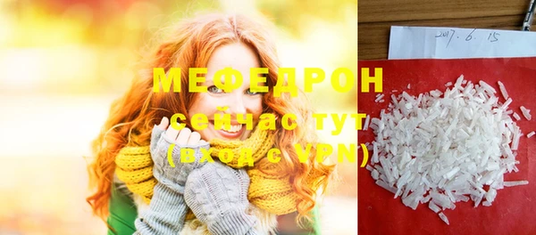хмурый Аркадак