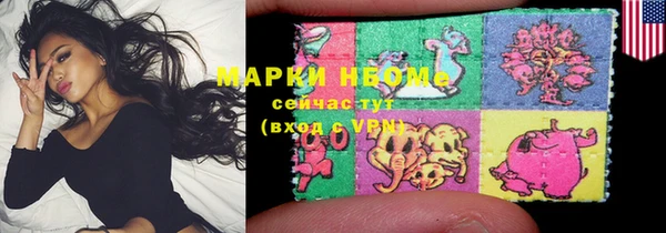 хмурый Аркадак