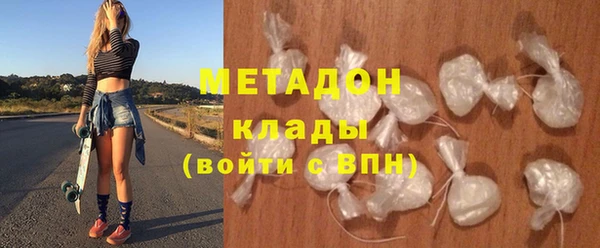 хмурый Аркадак
