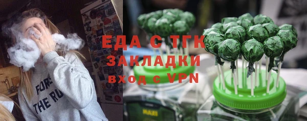хмурый Аркадак