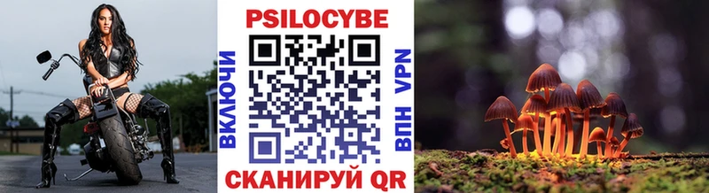 Псилоцибиновые грибы мицелий  Аша 